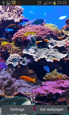 Aquarium Live Wallpaper android App screenshot 4